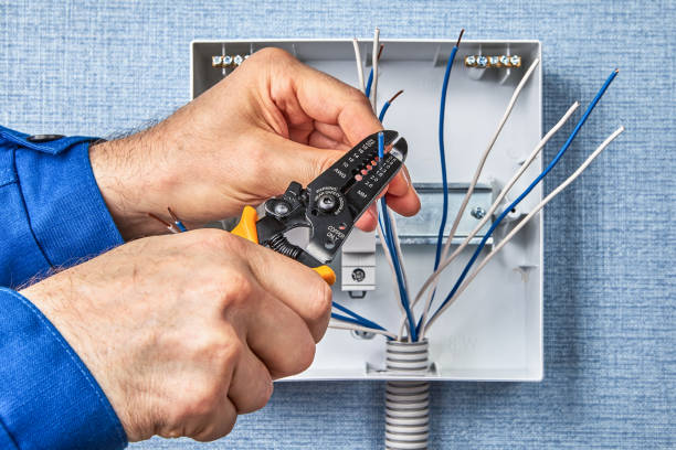 Best Electrical Maintenance Services  in Sour Lake, TX